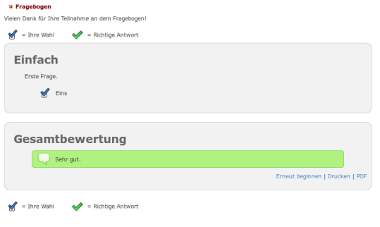 Screenshot  Beispiel eines Fragebogens